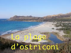 corse