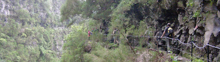 chasse
